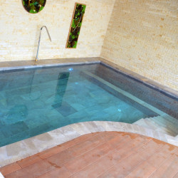 Piscină privată Timișoara cu Pietro Grey și Alma Forest de la Rosa Gres