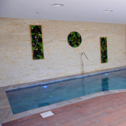 Piscină privată Timișoara cu Pietro Grey și Alma Forest de la Rosa Gres