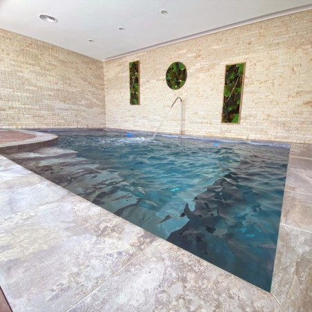 Piscină privată Timișoara cu Pietro Grey și Alma Forest de la Rosa Gres