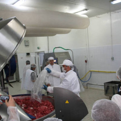 Gresie porțelanată presată antiacidă și antibacteriană Indubeige