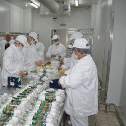 Gresie porțelanată presată antiacidă și antibacteriană Indubeige
