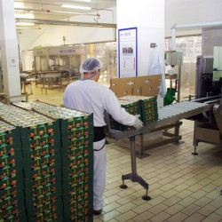 Gresie porțelanată presată antiacidă și antibacteriană Indubeige