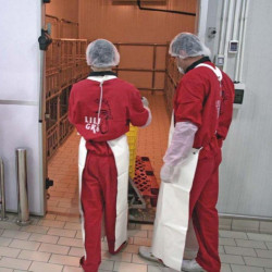 Gresie porțelanată presată antiacidă și antibacteriană Indubeige