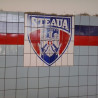 Bazinul Olimpic de Polo și Natație Steaua