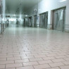 Fabrica de mezeluri Cris Tim
