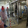 Fabrica Danone București