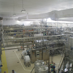 Fabrica Danone București