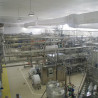 Fabrica Danone București