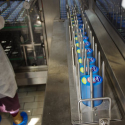 Fabrica Danone București