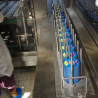 Fabrica Danone București