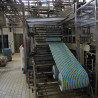 Fabrica Danone București