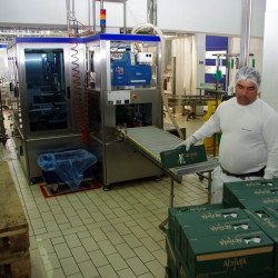 Fabrica Danone București