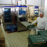 Fabrica Danone București