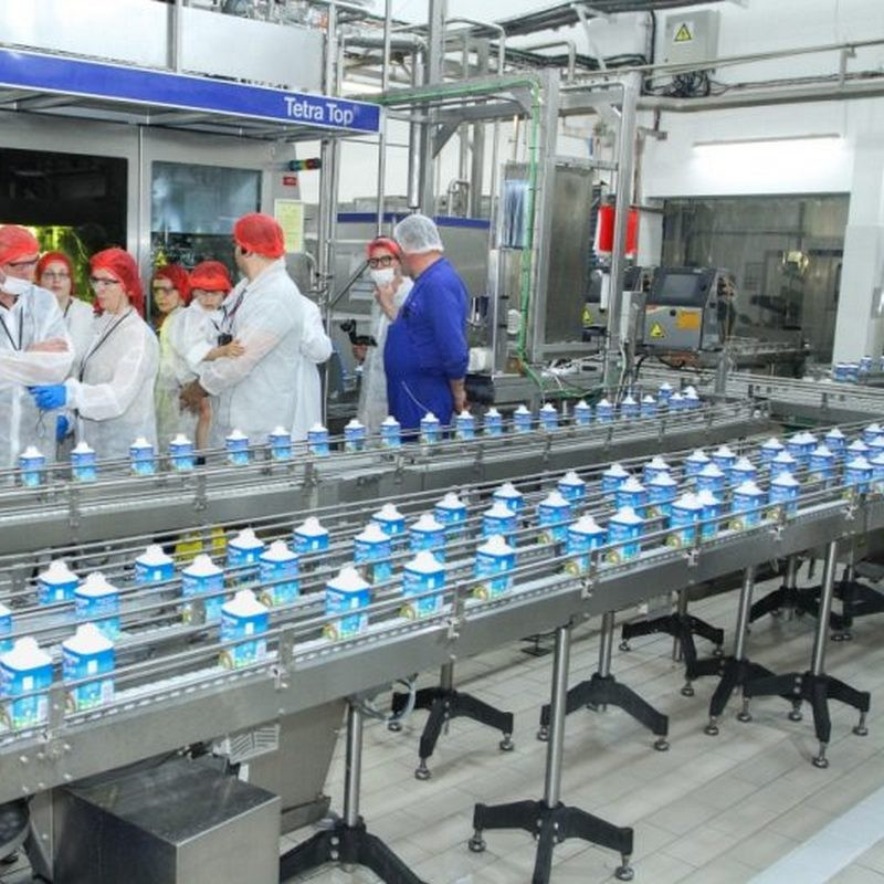 Fabrica Danone București