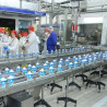 Fabrica Danone București