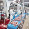 Fabrica Agricola Internațional Bacău