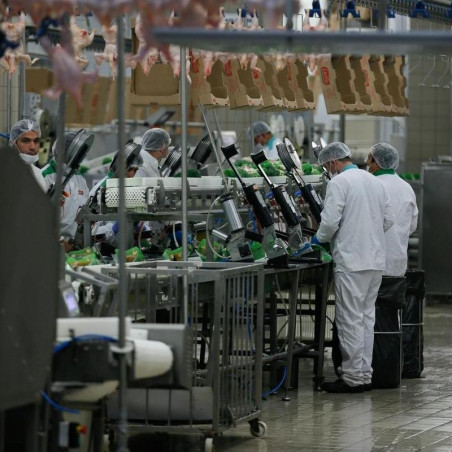 Fabrica Agricola Internațional Bacău