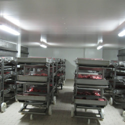 Fabrica de mezeluri Salbac