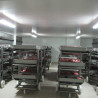 Fabrica de mezeluri Salbac