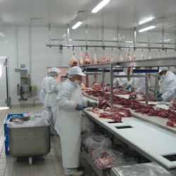 Fabrica de mezeluri Salbac