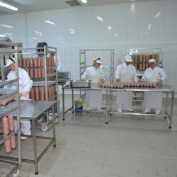 Fabrica de mezeluri Salbac
