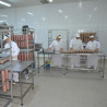 Fabrica de mezeluri Salbac