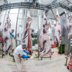 Fabrica de mezeluri Diana Râmnicu Vâlcea