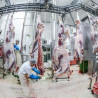 Fabrica de mezeluri Diana Râmnicu Vâlcea