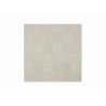 Mozaic din gresie Mistery White