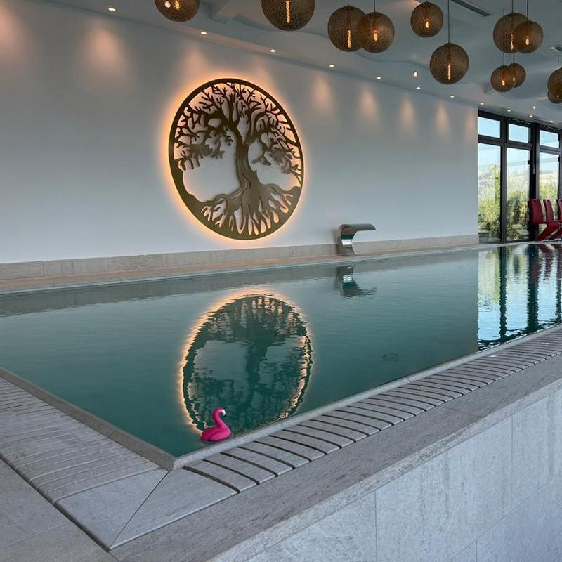 Piscină privată Iași cu Serena Bianco de la Rosa Gres