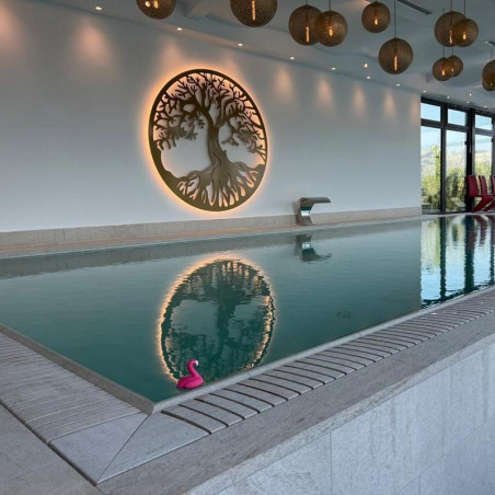 Piscină privată Iași cu Serena Bianco de la Rosa Gres
